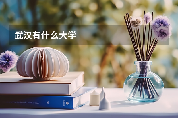武汉有什么大学