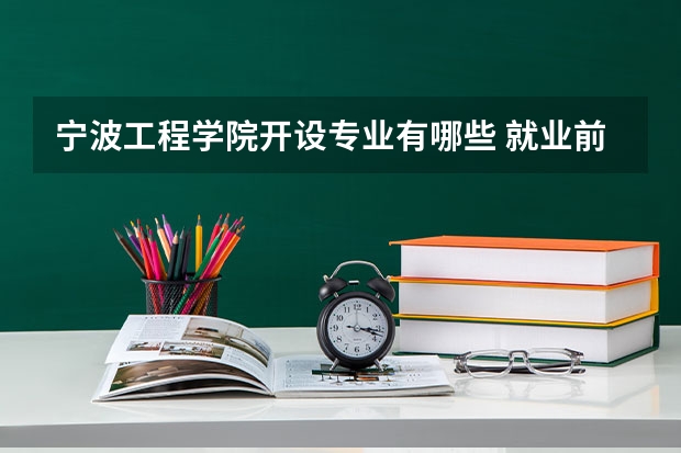 宁波工程学院开设专业有哪些 就业前景如何