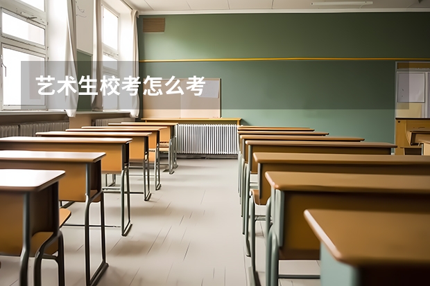 艺术生校考怎么考