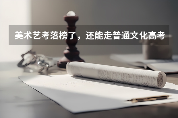 美术艺考落榜了，还能走普通文化高考吗？