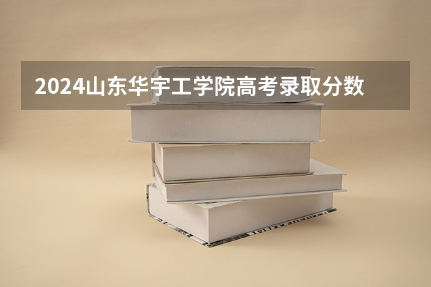 2024山东华宇工学院高考录取分数线是多少？