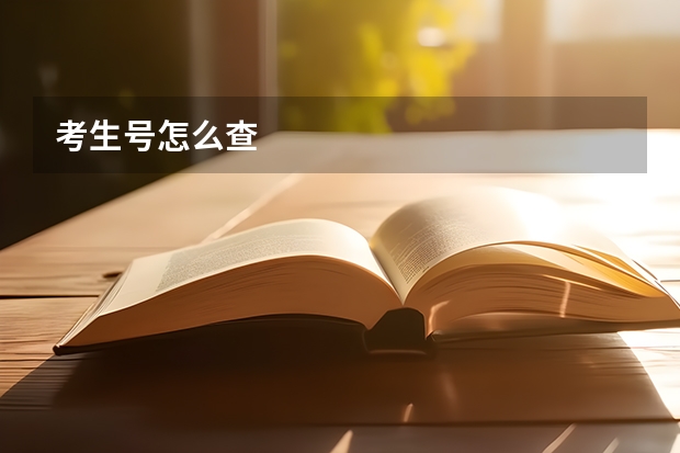考生号怎么查