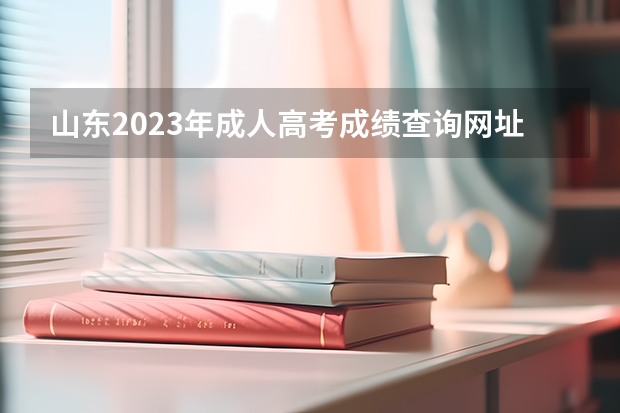 山东2023年成人高考成绩查询网址及入口是什么？