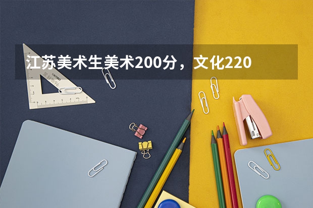 江苏美术生美术200分，文化220，能上什么学校？