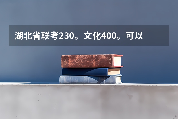 湖北省联考230。文化400。可以报哪些武汉市本地的学校啊?