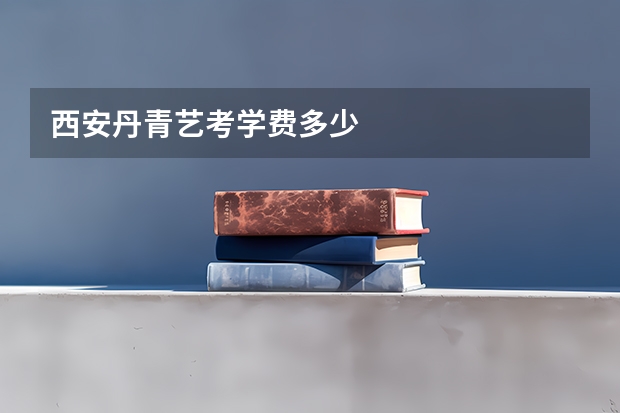 西安丹青艺考学费多少