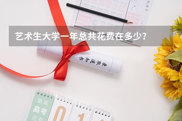 艺术生大学一年总共花费在多少？