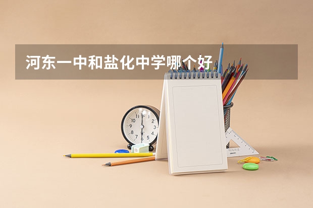 河东一中和盐化中学哪个好
