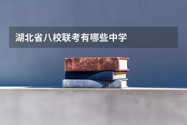 湖北省八校联考有哪些中学