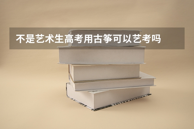 不是艺术生高考用古筝可以艺考吗