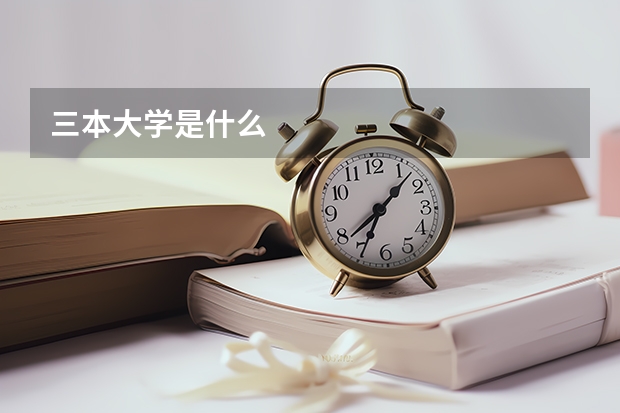 三本大学是什么
