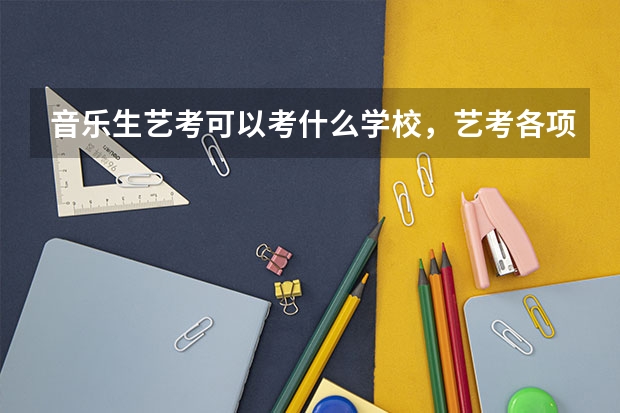 音乐生艺考可以考什么学校，艺考各项分值