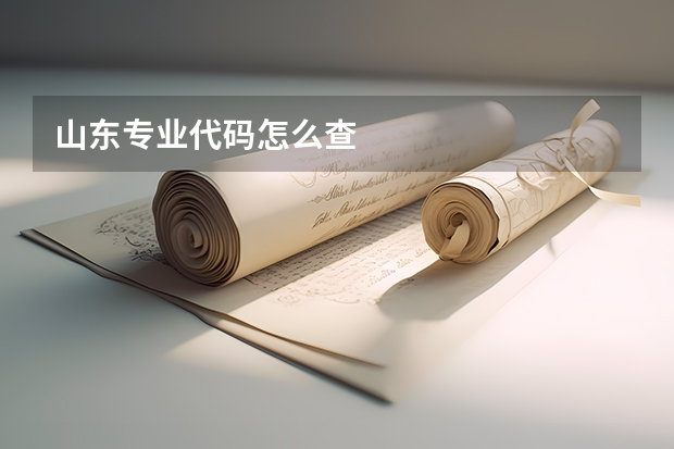 山东专业代码怎么查
