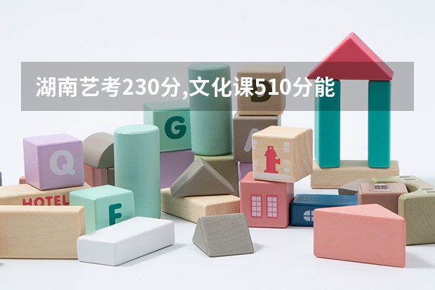湖南艺考230分,文化课510分能上什么大学如果有这个分，想报考外省的美术生？