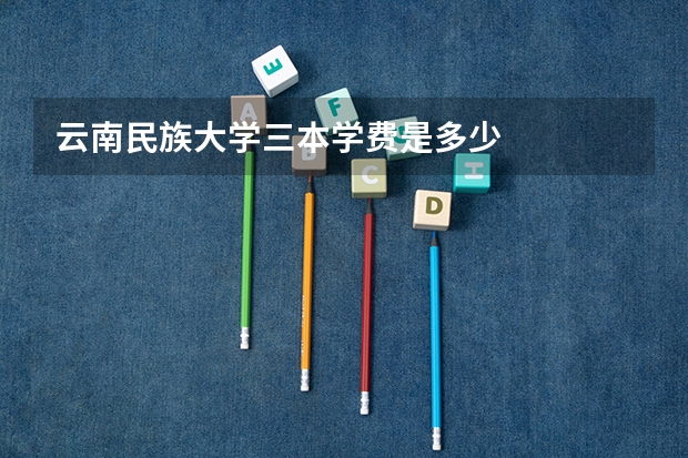 云南民族大学三本学费是多少