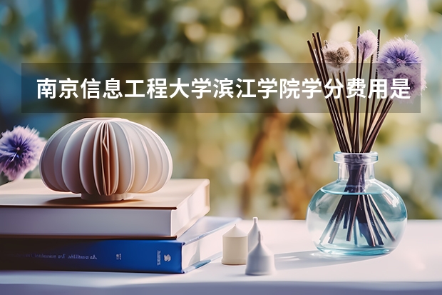 南京信息工程大学滨江学院学分费用是多少，和苏州文正比怎么样？