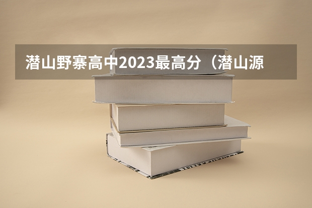潜山野寨高中2023最高分（潜山源潭中学高考喜报）