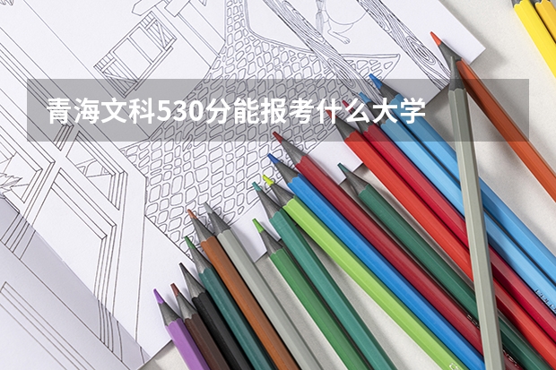 青海文科530分能报考什么大学