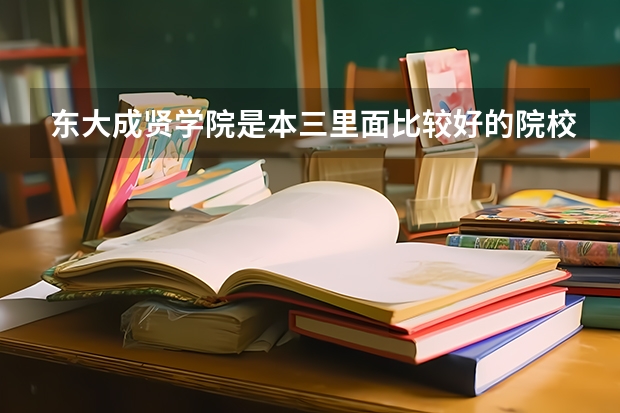 东大成贤学院是本三里面比较好的院校吗，就业情况怎么样啊