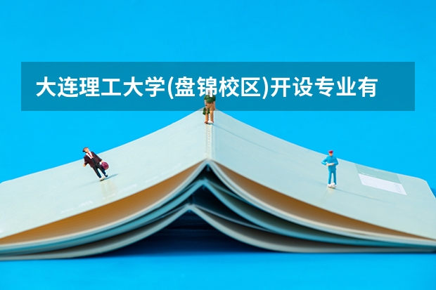 大连理工大学(盘锦校区)开设专业有哪些 就业前景如何