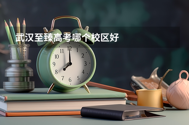 武汉至臻高考哪个校区好
