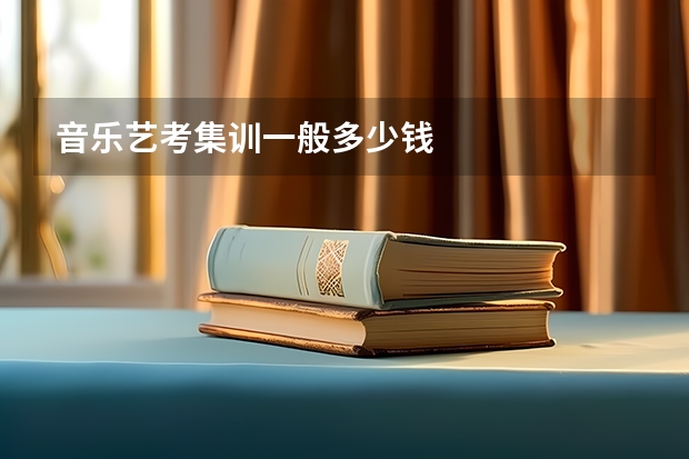 音乐艺考集训一般多少钱