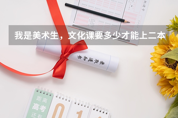 我是美术生，文化课要多少才能上二本？