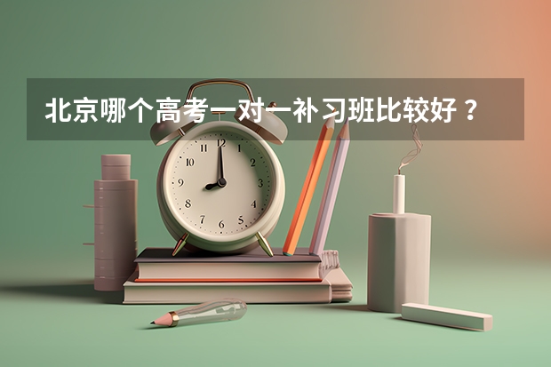 北京哪个高考一对一补习班比较好 ？需要文科的外语和数学...最好在望京这边 。