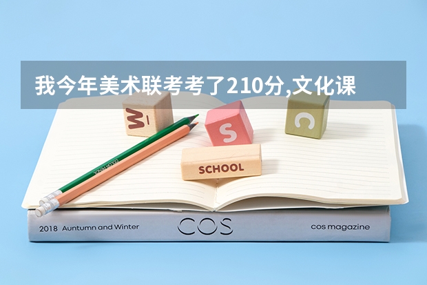 我今年美术联考考了210分,文化课大概380,报考哪个学校比较稳呢?我是武汉学生省外的也行