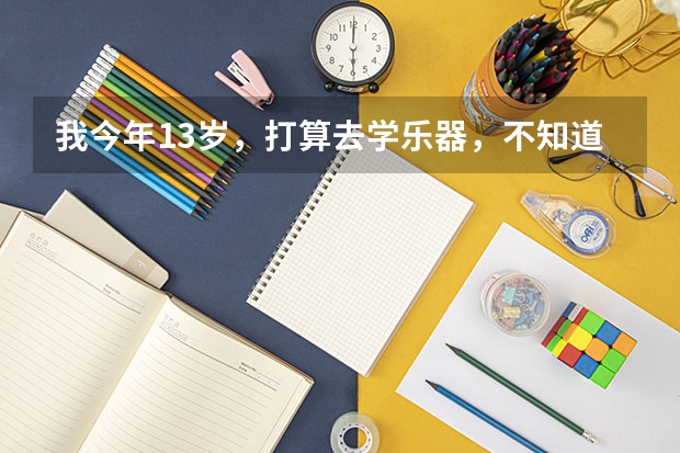 我今年13岁，打算去学乐器，不知道是学钢琴好，还是小提琴，还是古筝。高考加分是哪个加的多，以后进入