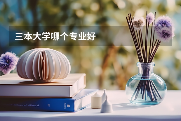三本大学哪个专业好