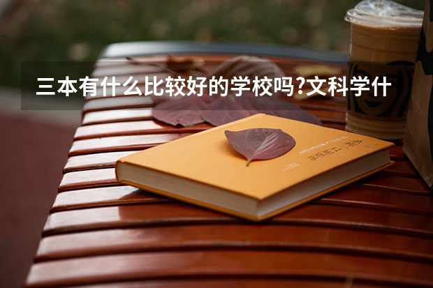 三本有什么比较好的学校吗?文科学什么专业出来比较容易高薪就业?帮帮忙解决下勒