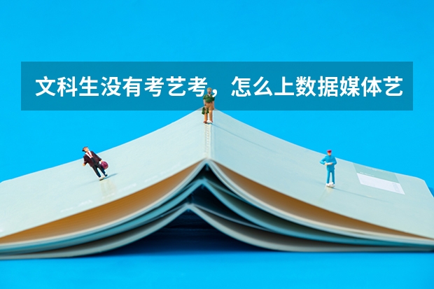 文科生没有考艺考，怎么上数据媒体艺术专业