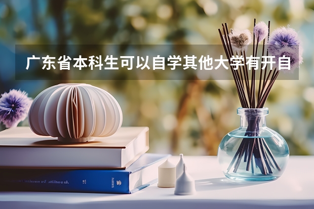 广东省本科生可以自学其他大学有开自考课程的专业吗