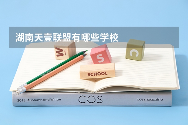 湖南天壹联盟有哪些学校