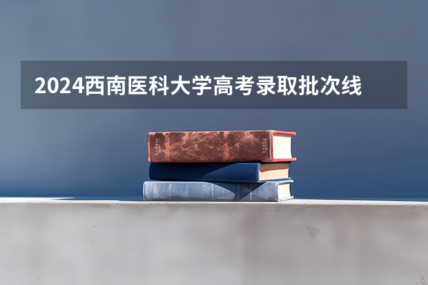2024西南医科大学高考录取批次线一览表（高考分数线）