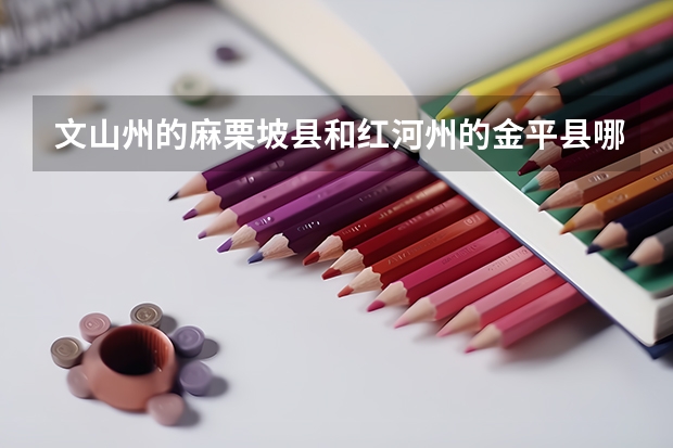 文山州的麻栗坡县和红河州的金平县哪个县环境好