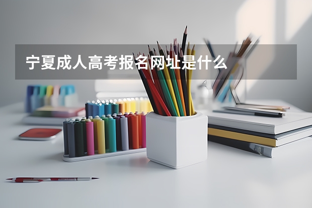 宁夏成人高考报名网址是什么