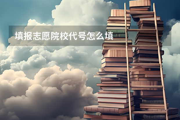 填报志愿院校代号怎么填